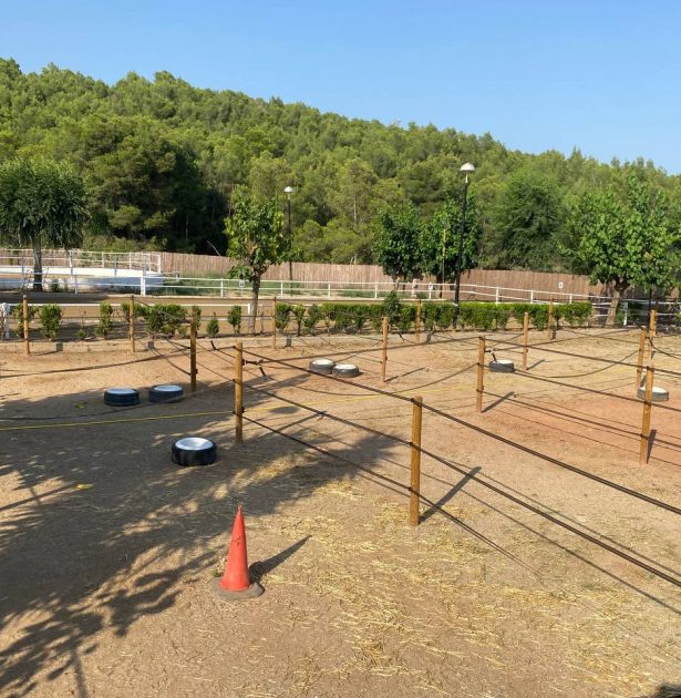 1bb5c34a-98e5-4a2a-968a-3688d25aea9a