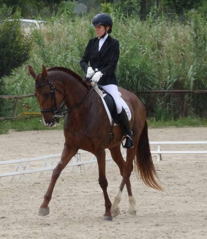 4e7029af-daf0-47f0-85f0-87ea0ce98d9a