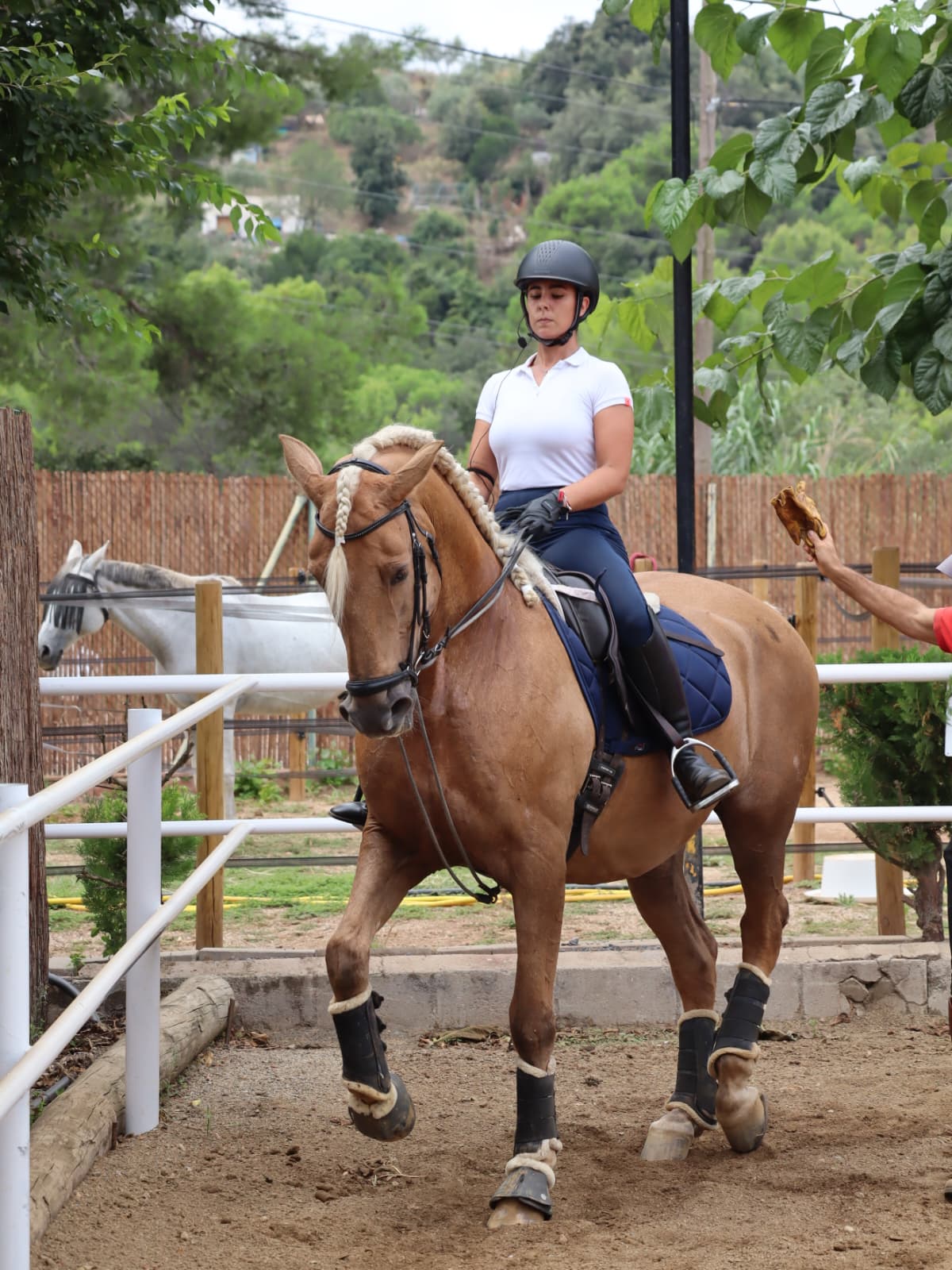 WhatsApp Image 2025-09-07 at 16.31.39