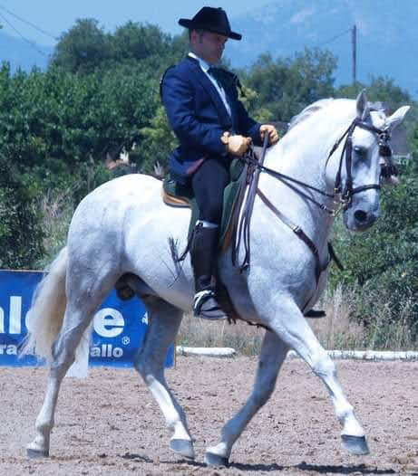 e0cafe6a-0ec6-4f1c-9055-bc9b0057fc36